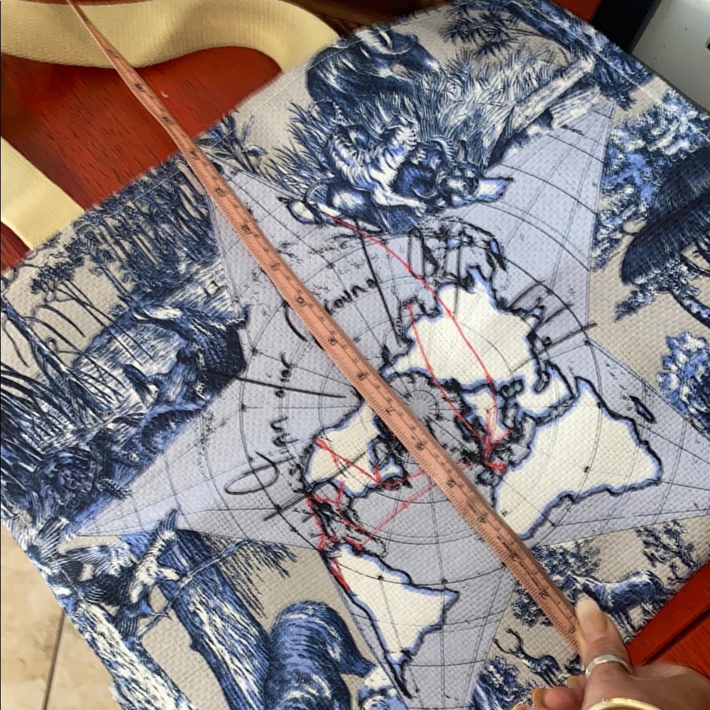 Dior Blue and Tan Tote Bag around the world - Picture 10 of 13